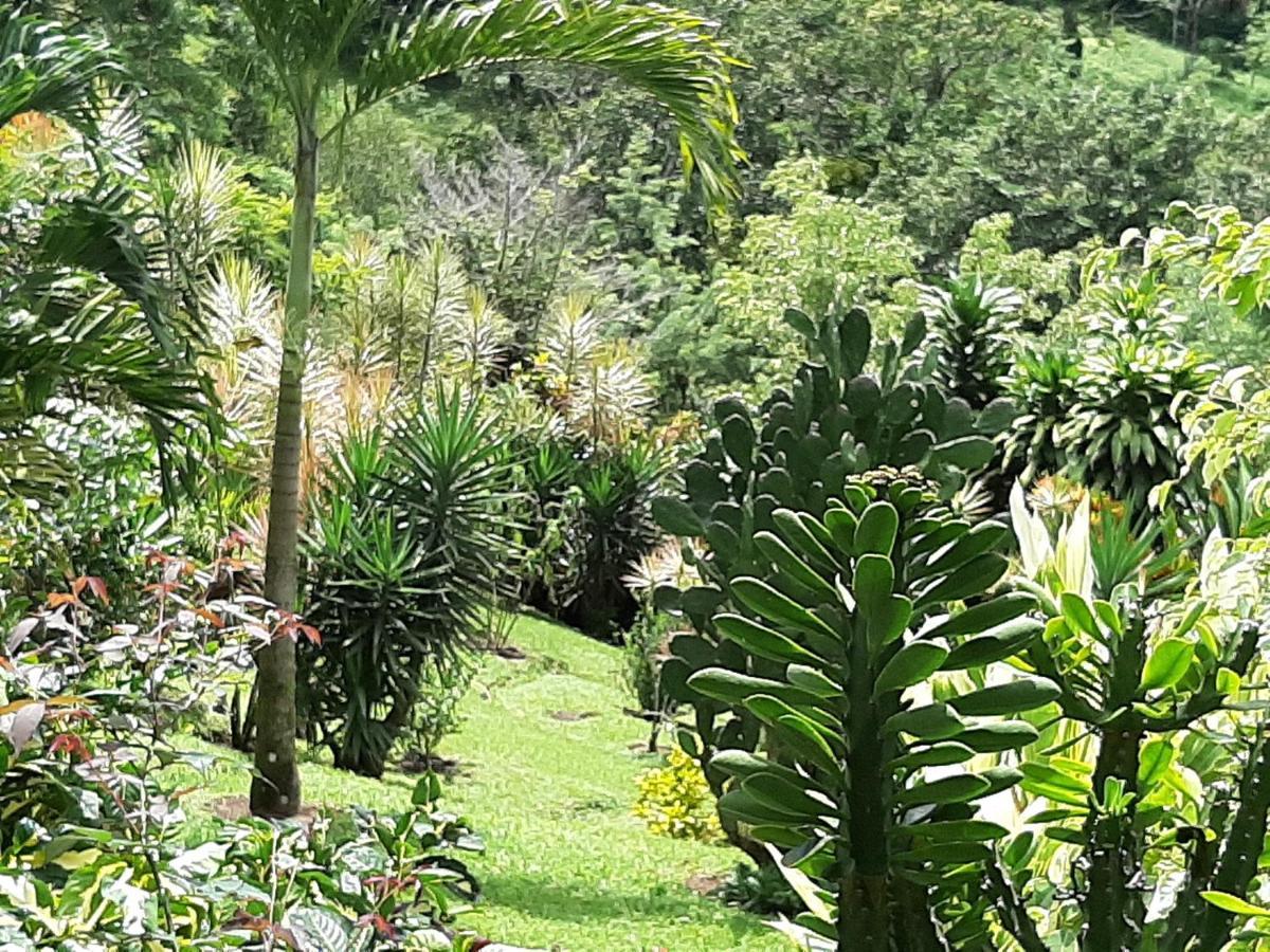 Marita'S Bed And Breakfast Nuevo Arenal Exterior photo