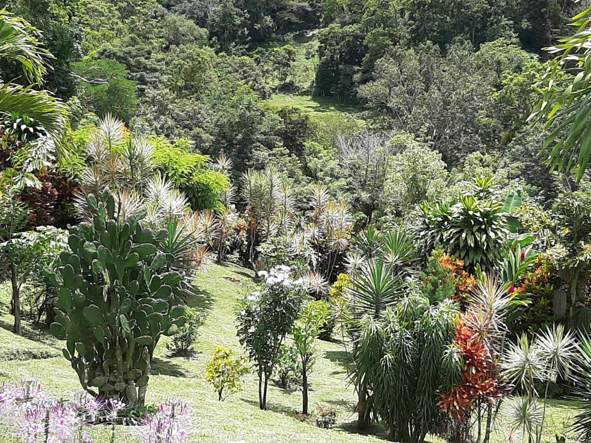 Marita'S Bed And Breakfast Nuevo Arenal Exterior photo