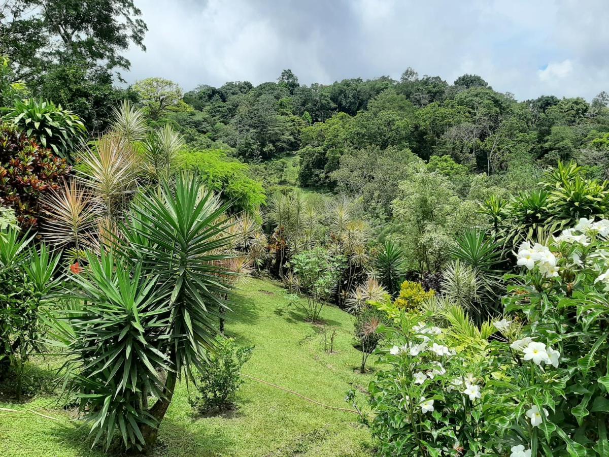 Marita'S Bed And Breakfast Nuevo Arenal Exterior photo