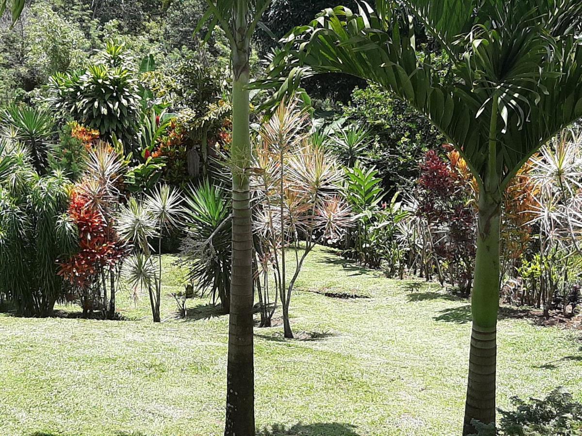 Marita'S Bed And Breakfast Nuevo Arenal Exterior photo