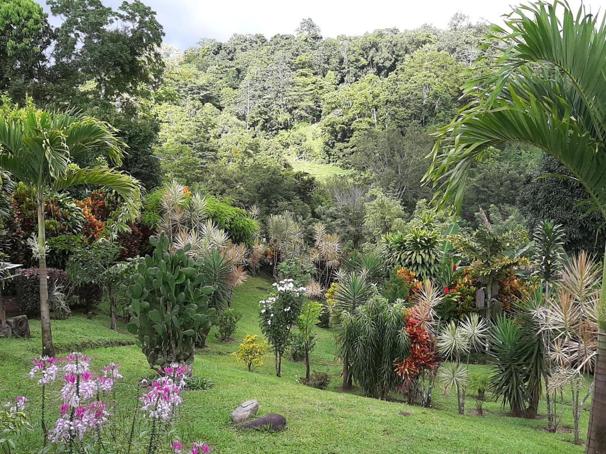 Marita'S Bed And Breakfast Nuevo Arenal Exterior photo