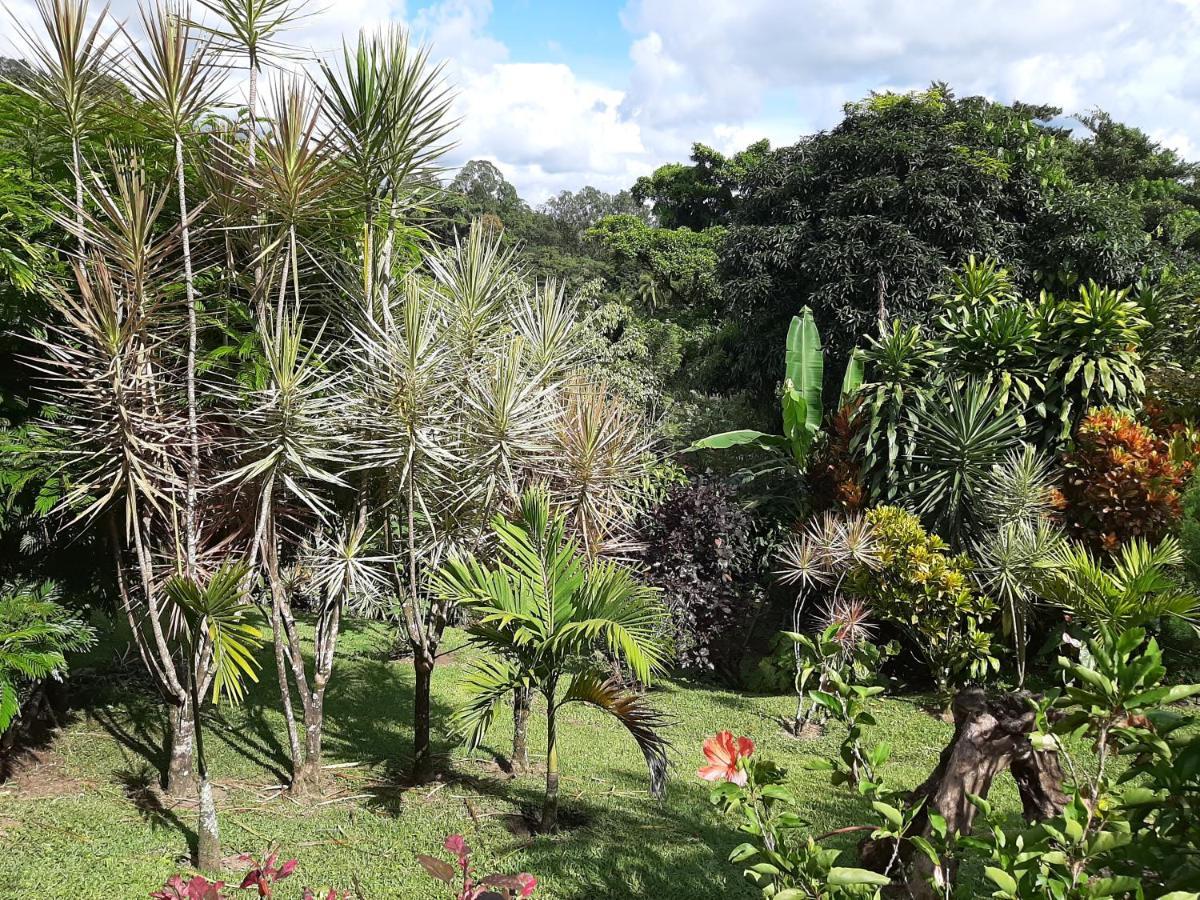 Marita'S Bed And Breakfast Nuevo Arenal Exterior photo