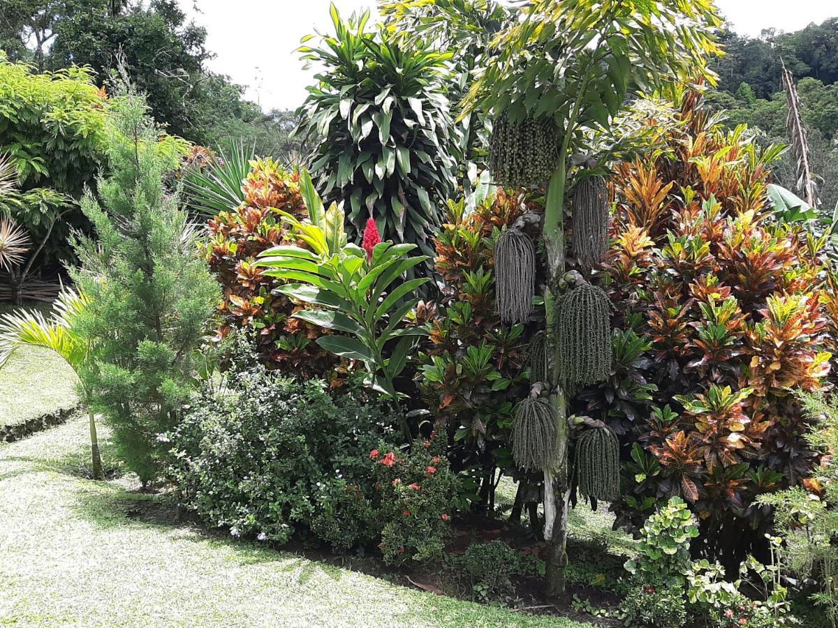 Marita'S Bed And Breakfast Nuevo Arenal Exterior photo